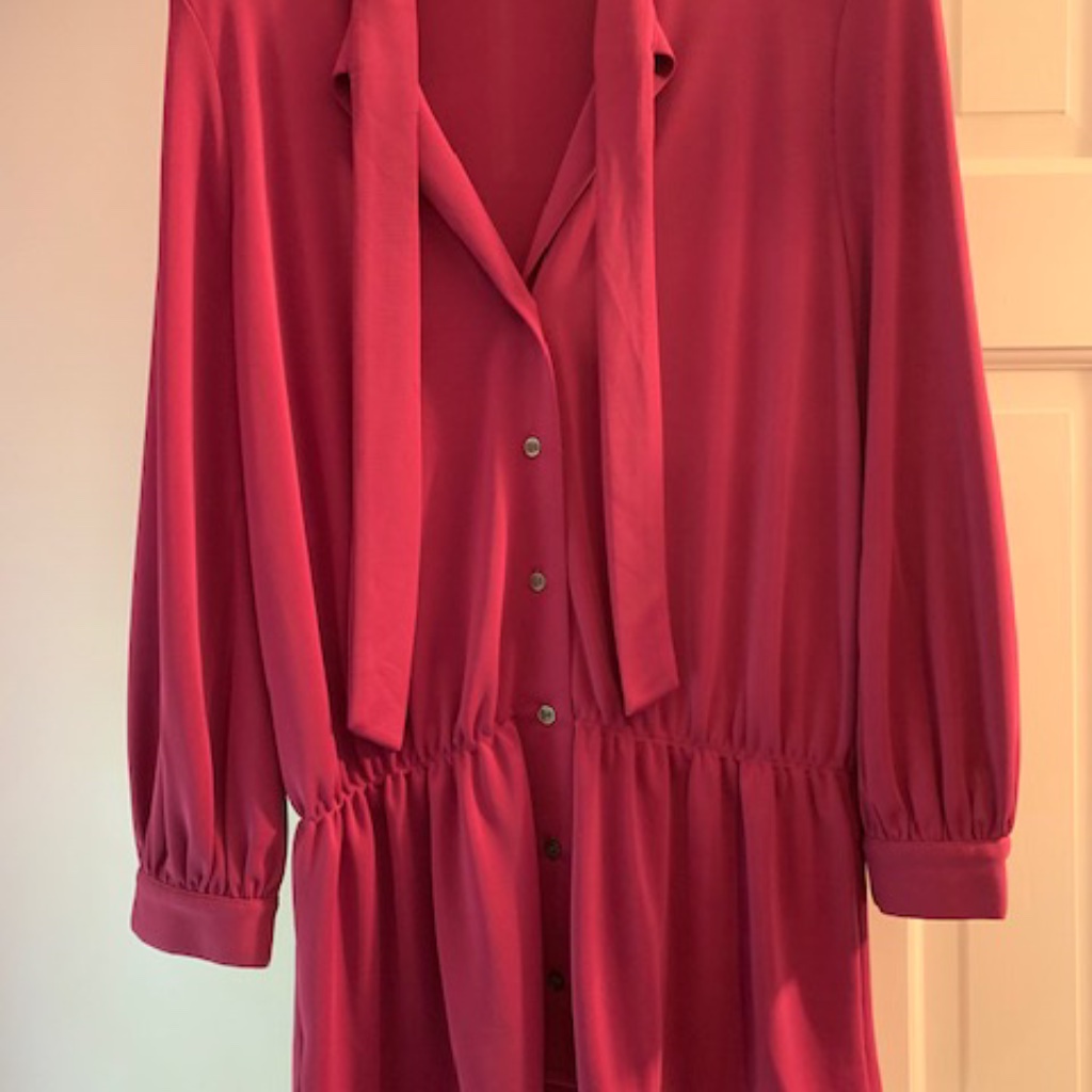 Raspberry-Colored Blouse Euc